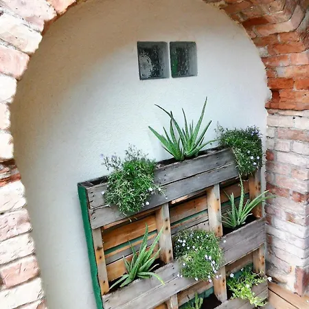 Mas De Tribies - Charme, Piscine, Villa